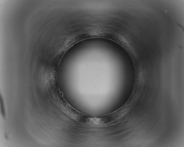 X0000100220265200806061352