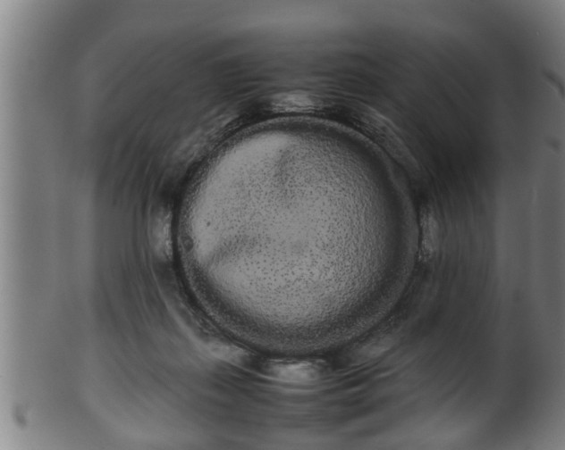 X0000100220267200806061352