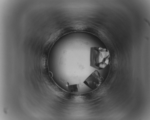 X0000100220268200806061352