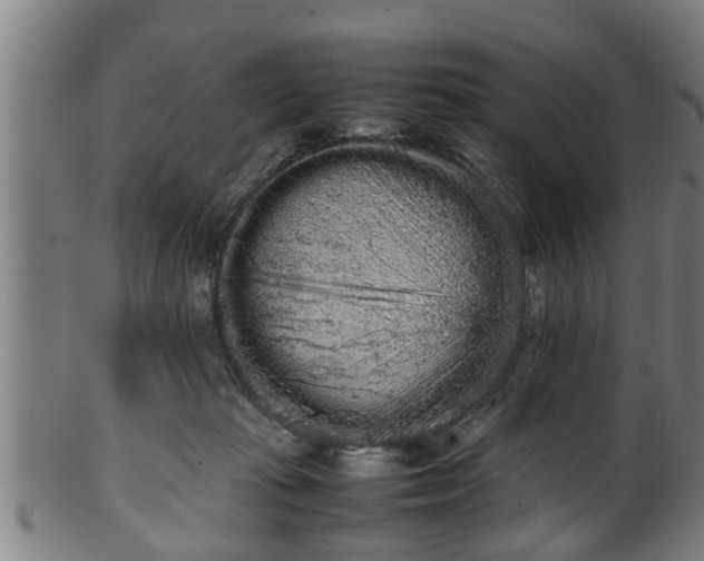 X0000100220269200806061352