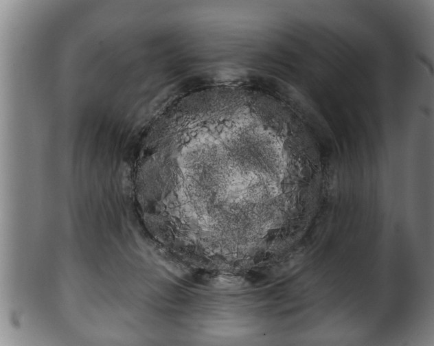 X0000100220270200806061352