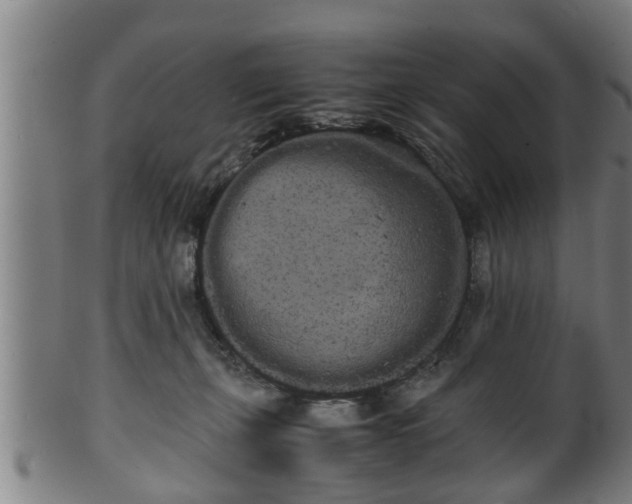 X0000100220271200806061352