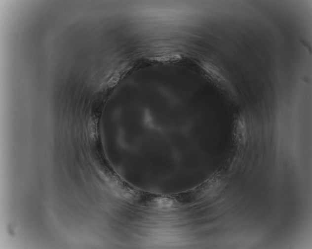 X0000100220272200806061352