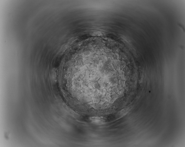 X0000100220273200806061352