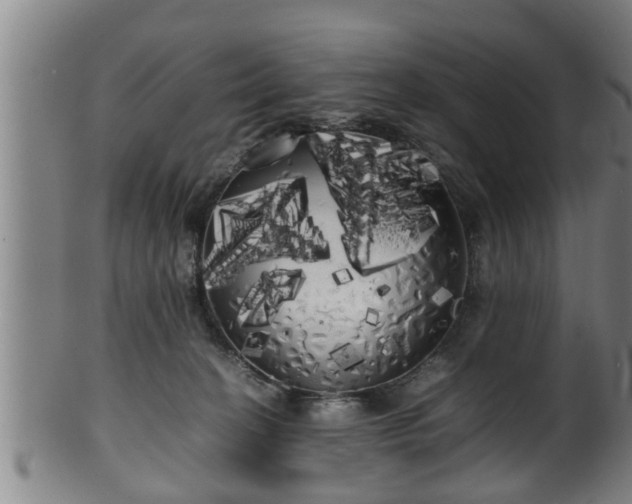X0000100220274200806061352