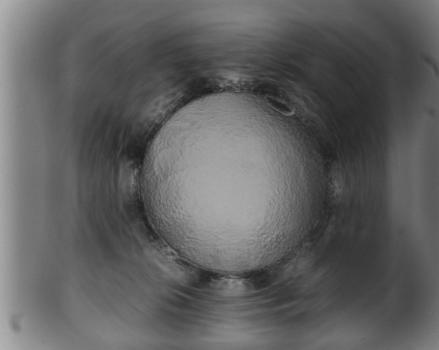 X0000100220276200806061352