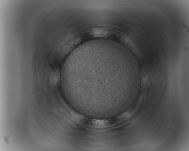 X0000100220277200806061352