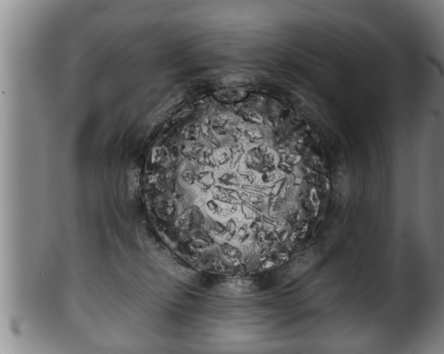 X0000100220278200806061352