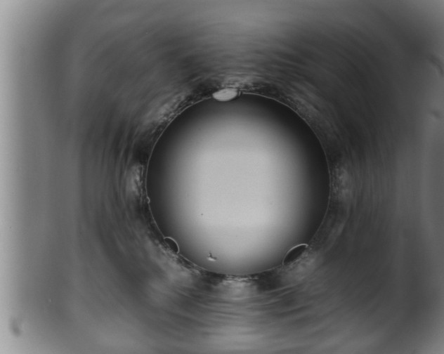 X0000100220280200806061352