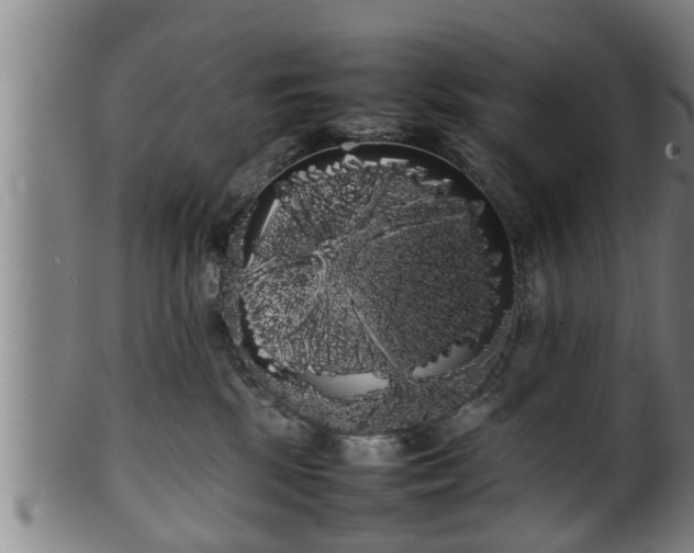 X0000100220281200806061352