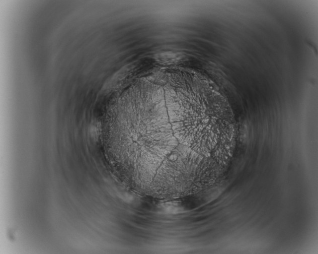 X0000100220283200806061352