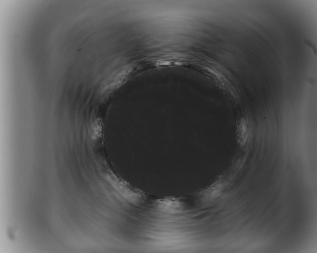 X0000100220284200806061352