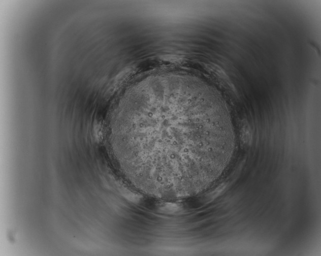 X0000100220285200806061352