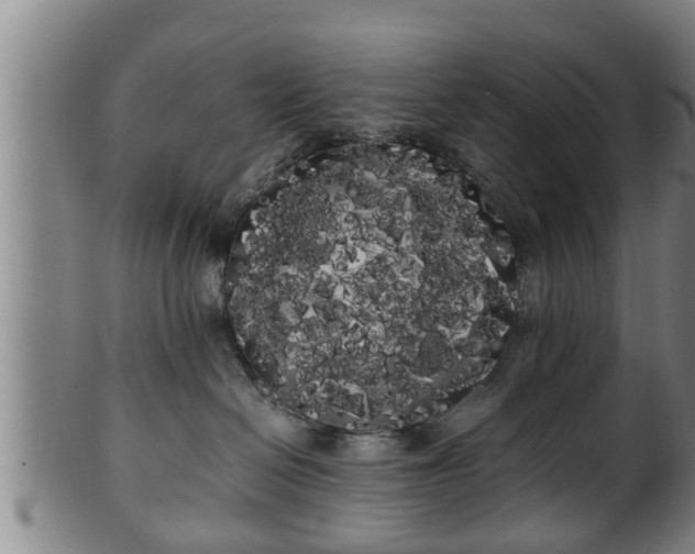 X0000100220286200806061352