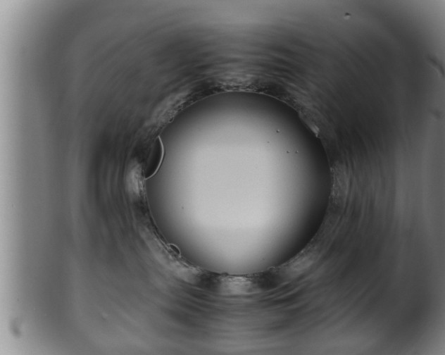 X0000100220287200806061352