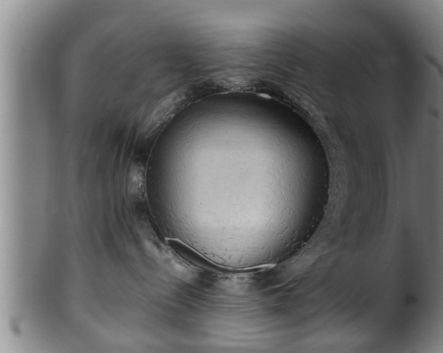 X0000100220288200806061352