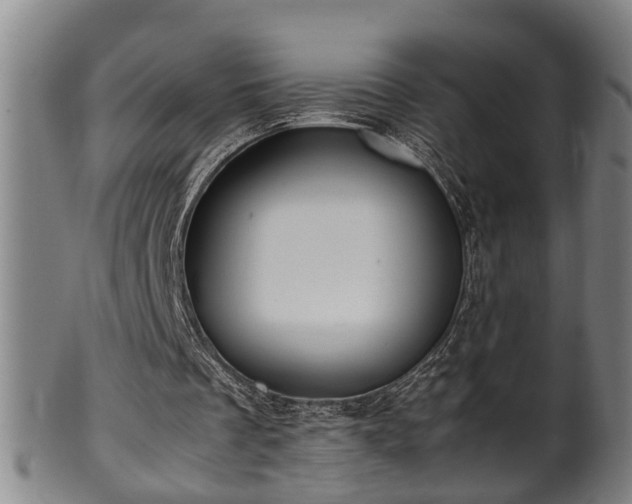 X0000100220289200806061351