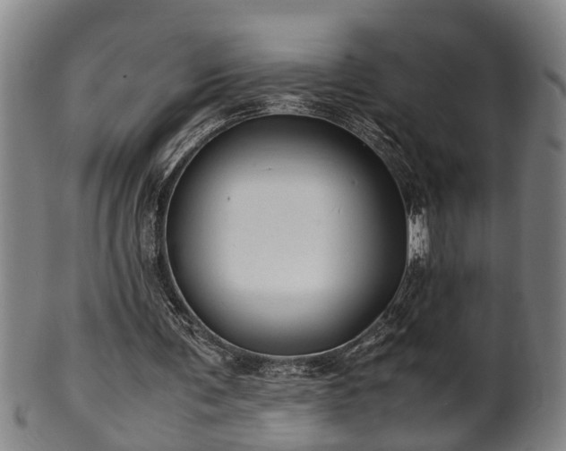 X0000100220291200806061351