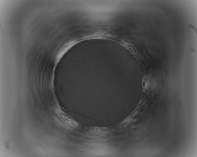 X0000100220292200806061351