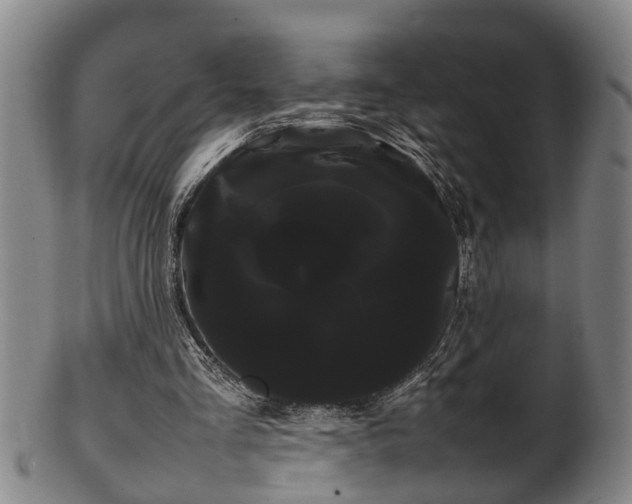 X0000100220293200806061351