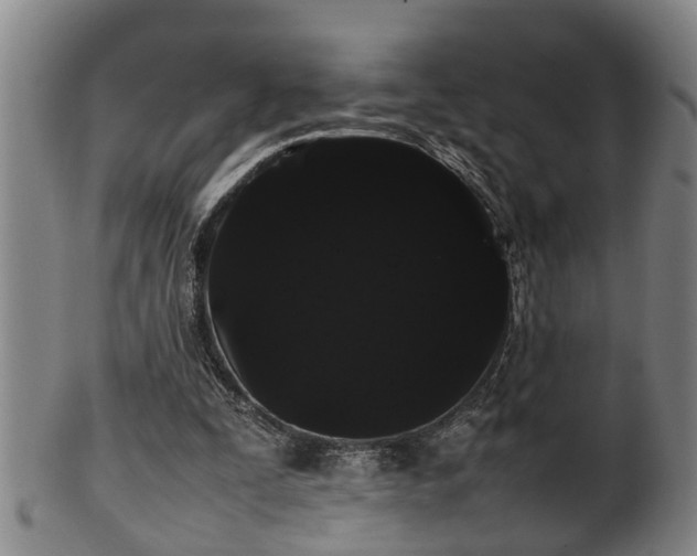 X0000100220295200806061351