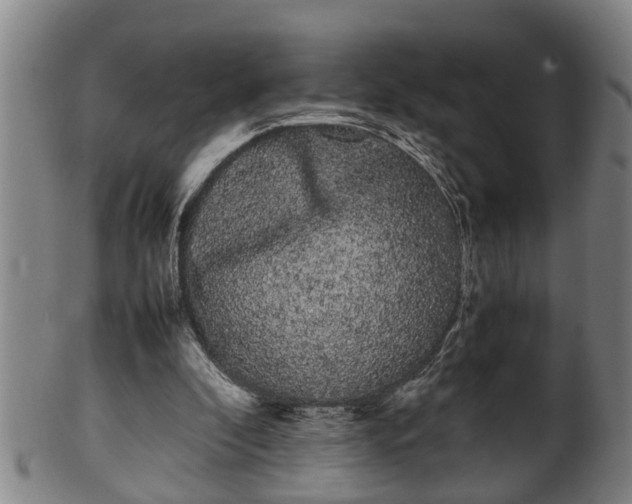 X0000100220296200806061351