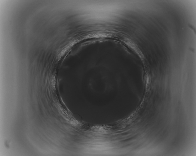 X0000100220297200806061351