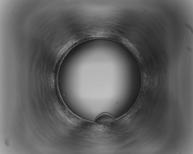 X0000100220298200806061351