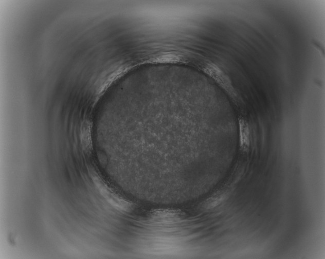 X0000100220300200806061351