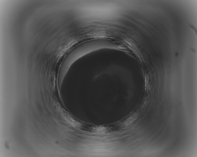 X0000100220301200806061351