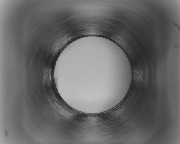 X0000100220302200806061351