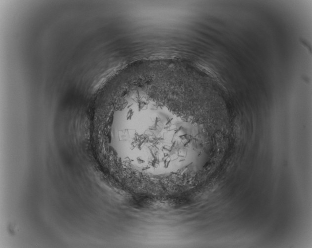 X0000100220303200806061351