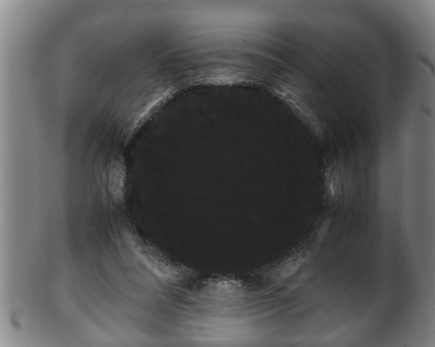 X0000100220304200806061351