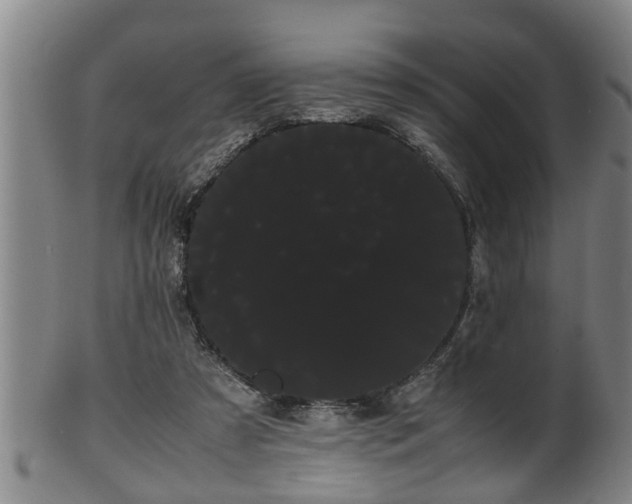 X0000100220305200806061351