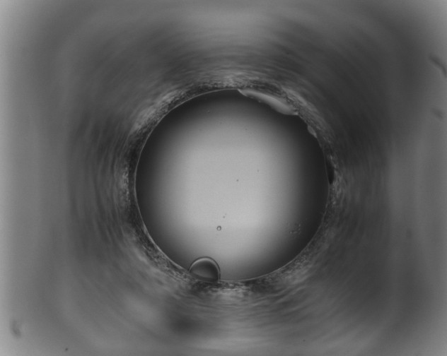 X0000100220306200806061351