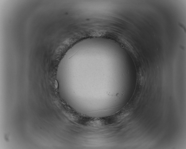 X0000100220307200806061351