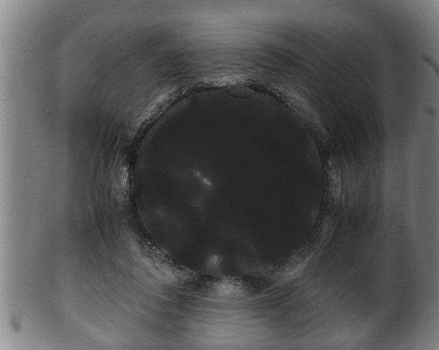 X0000100220308200806061351