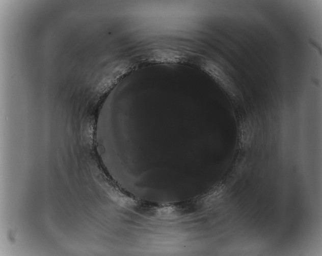 X0000100220309200806061351