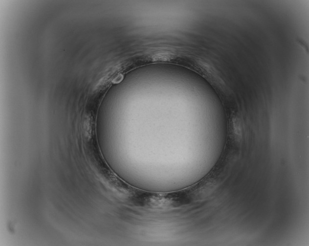 X0000100220311200806061351