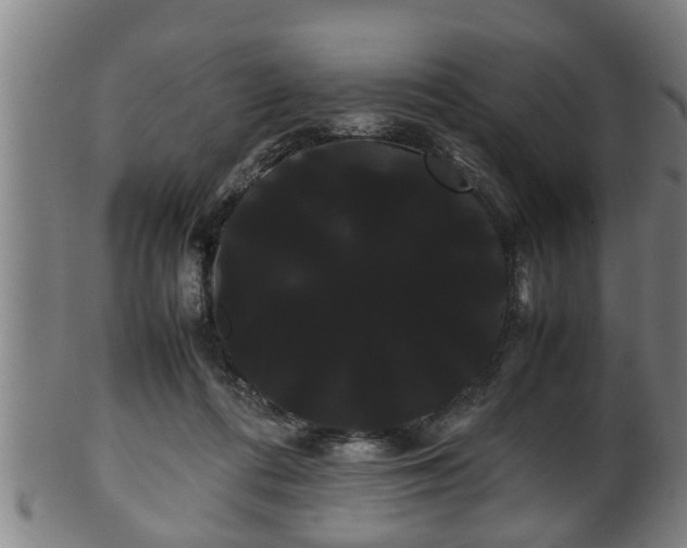 X0000100220312200806061351