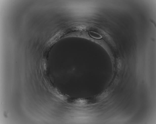 X0000100220313200806061351