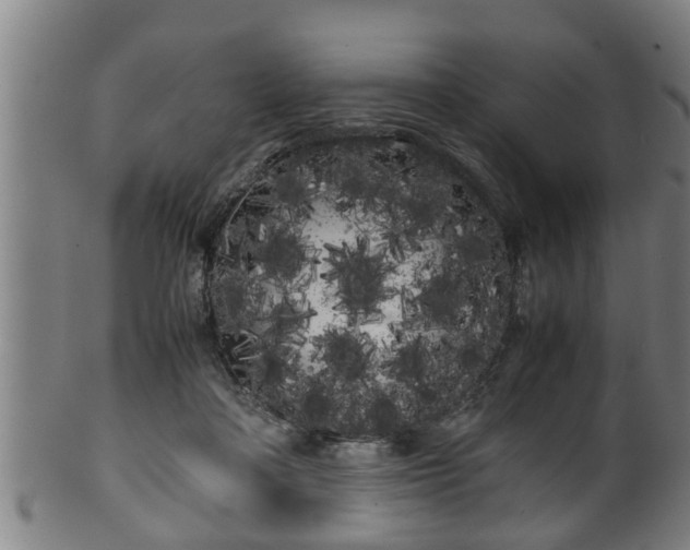 X0000100220314200806061351