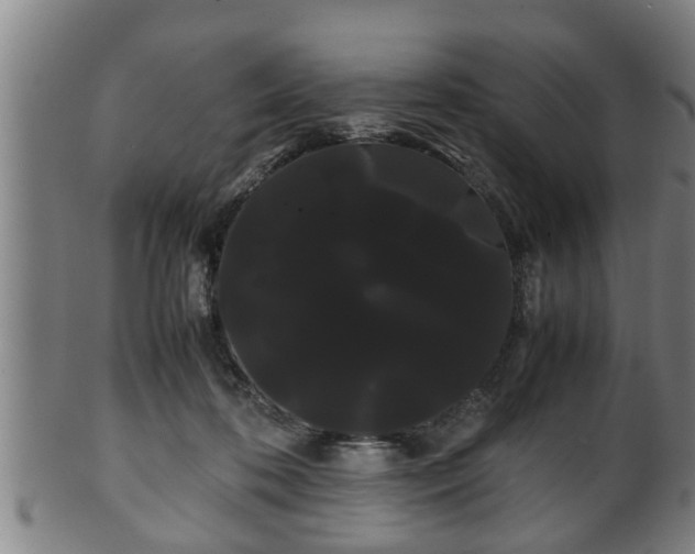 X0000100220316200806061351