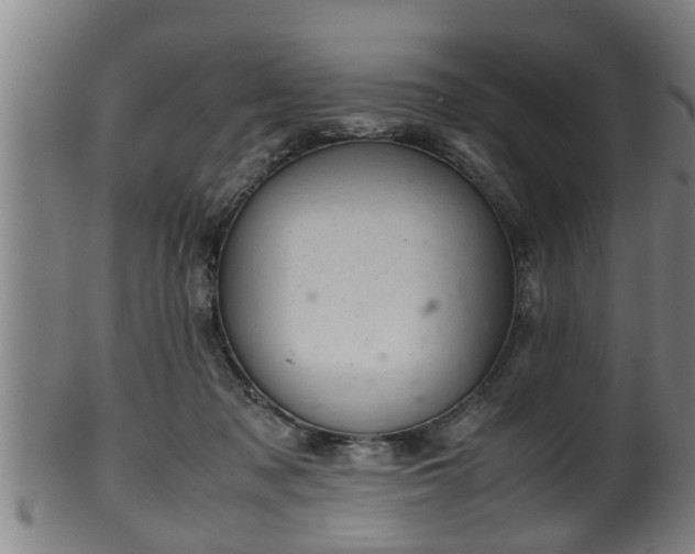 X0000100220317200806061351