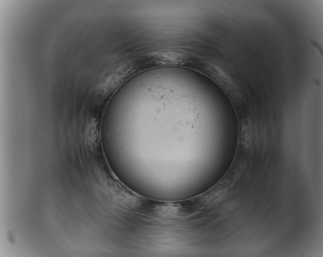 X0000100220318200806061351