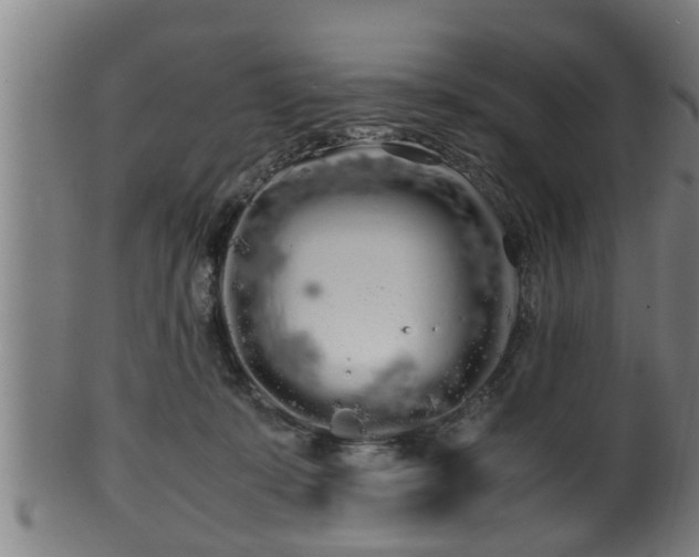 X0000100220319200806061351