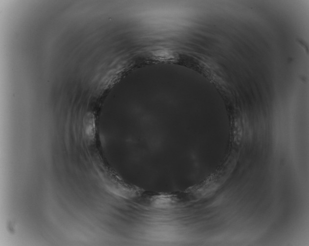 X0000100220320200806061351