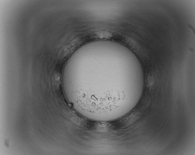 X0000100220321200806061351