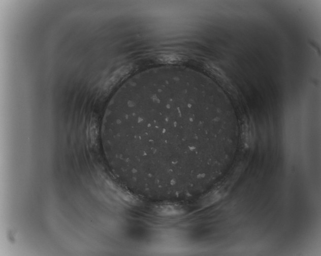 X0000100220322200806061351