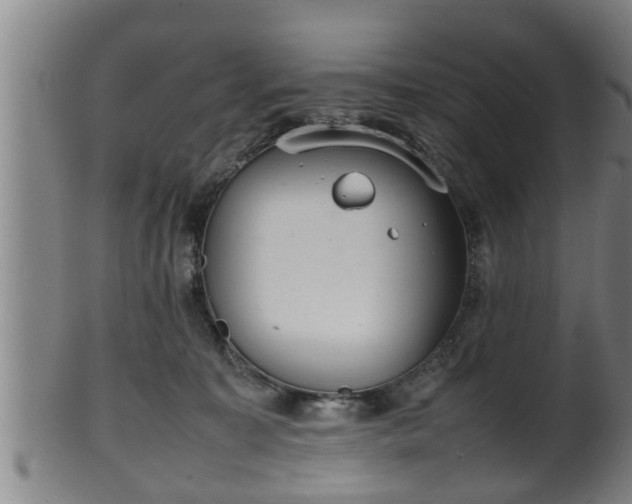 X0000100220323200806061351